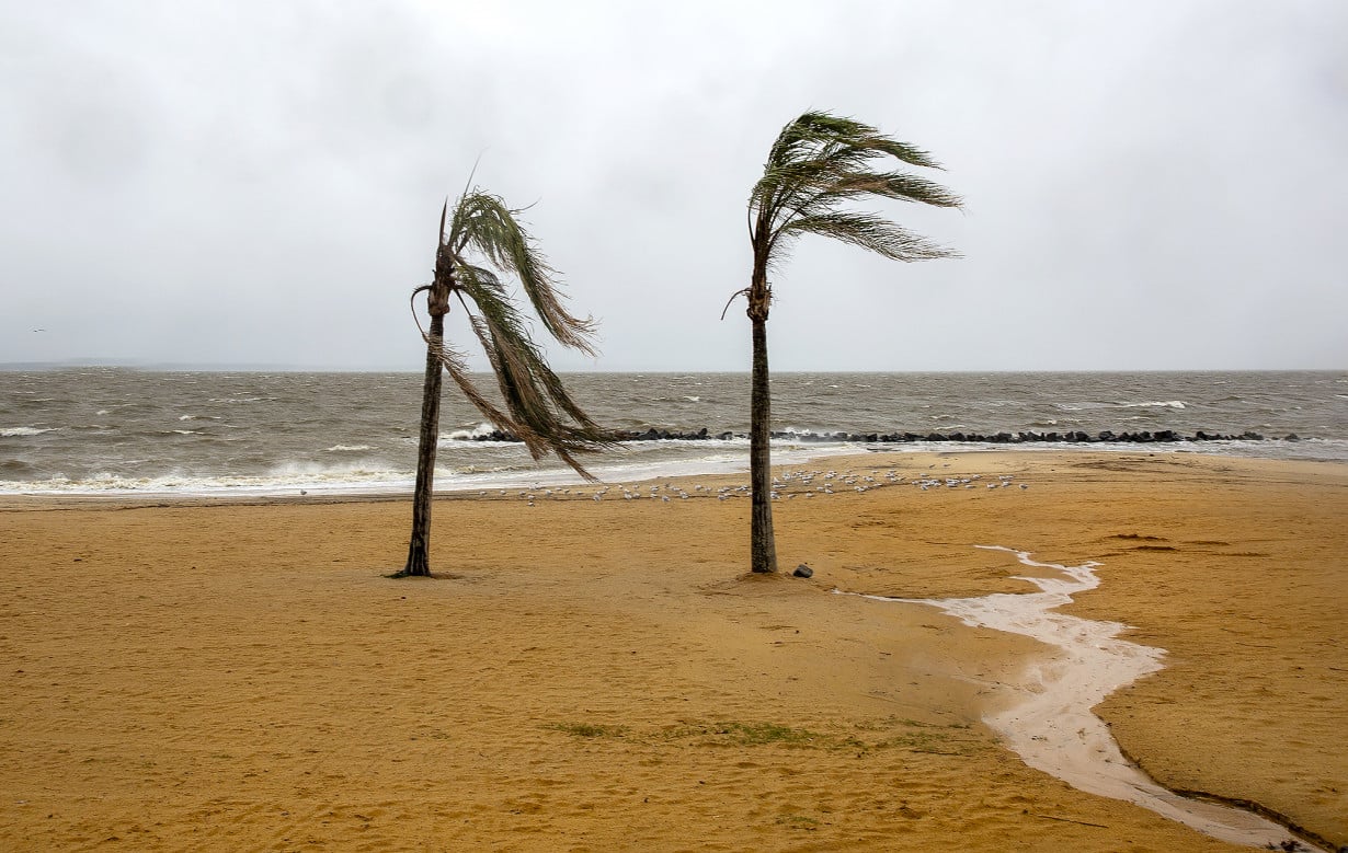 Southern East Coast hit by flooding as Ophelia weakens to tropical depression and moves north