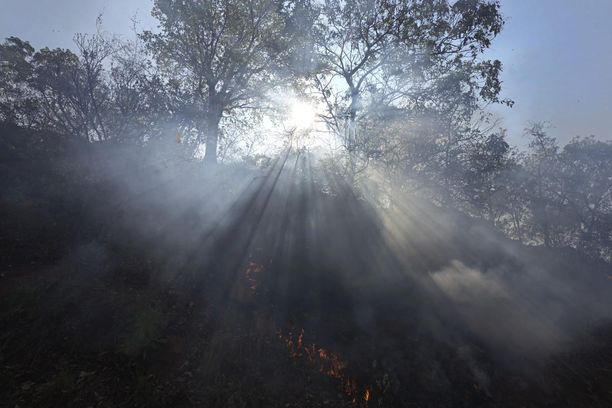 Brazil Forest Fire