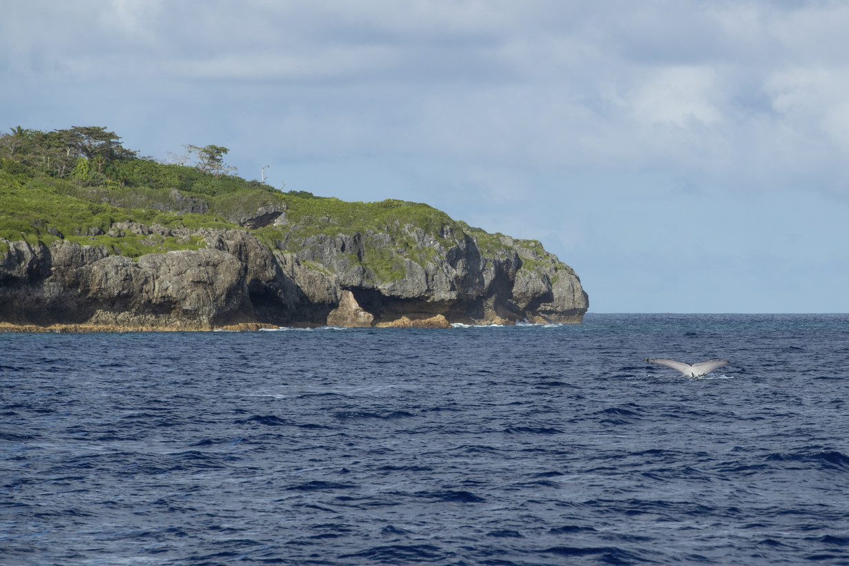 Niue Ocean Sponsorship