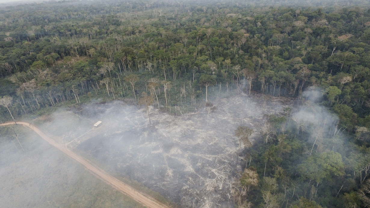 Brazil Amazon Deforestation Rubber