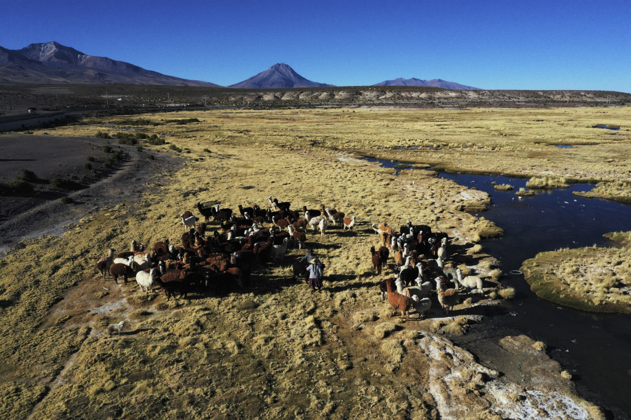 Inspired by llamas, the desert and Mother Earth, these craftswomen weave sacred textiles