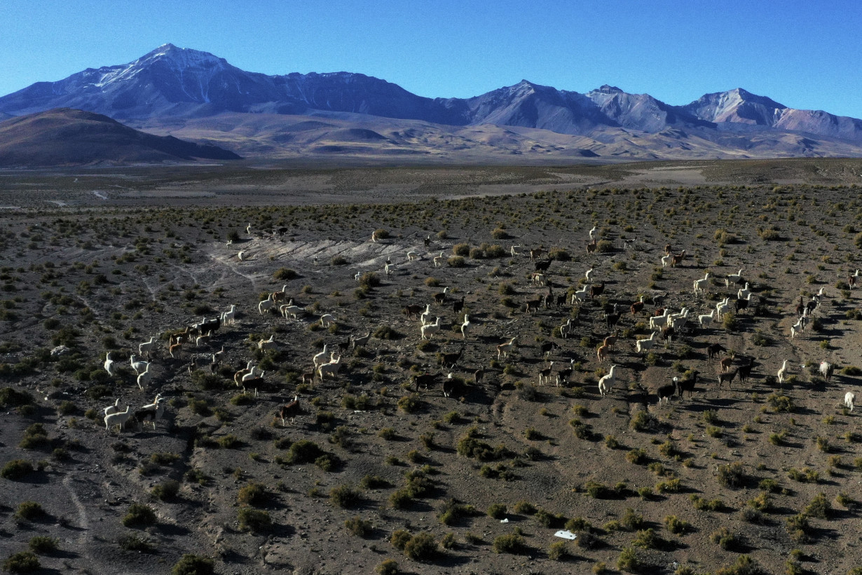 Inspired by llamas, the desert and Mother Earth, these craftswomen weave sacred textiles