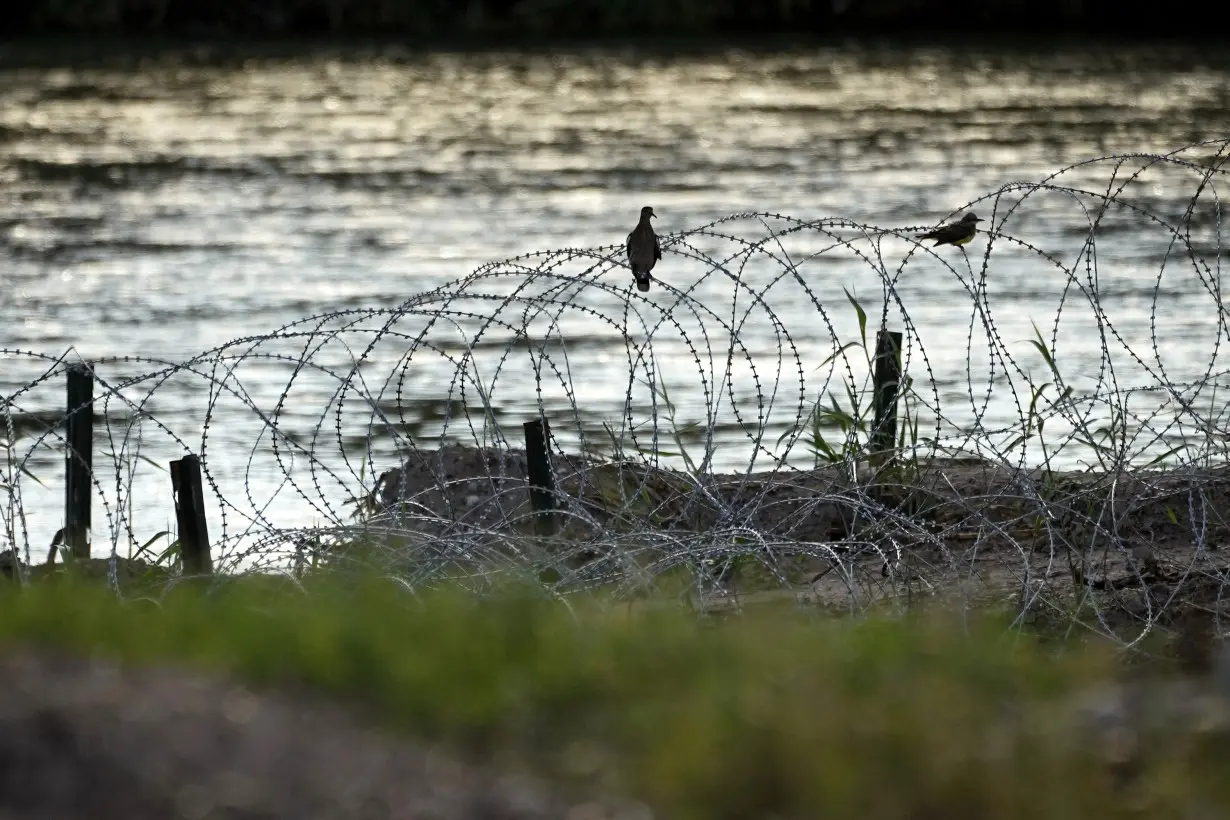 Immigration Razor Wire