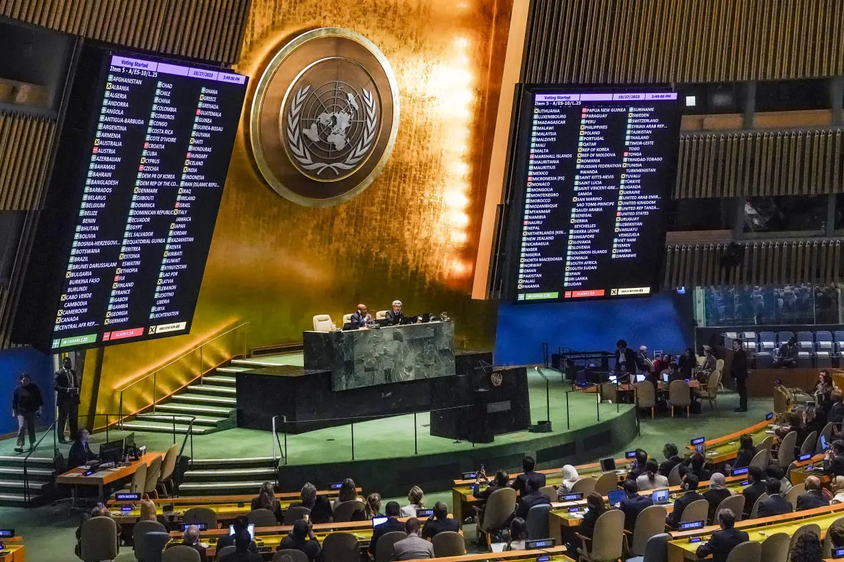 United Nations General Assembly