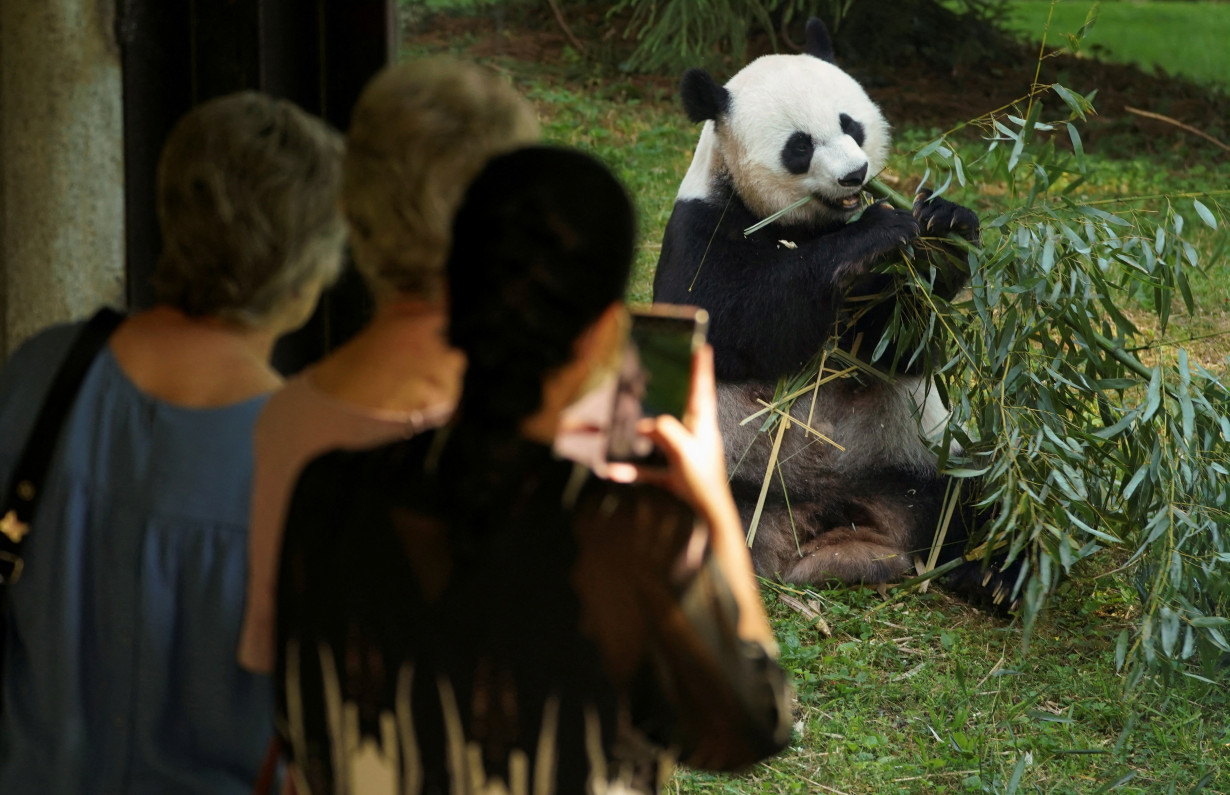 FILE PHOTO: The National Zoo reopens in Washington