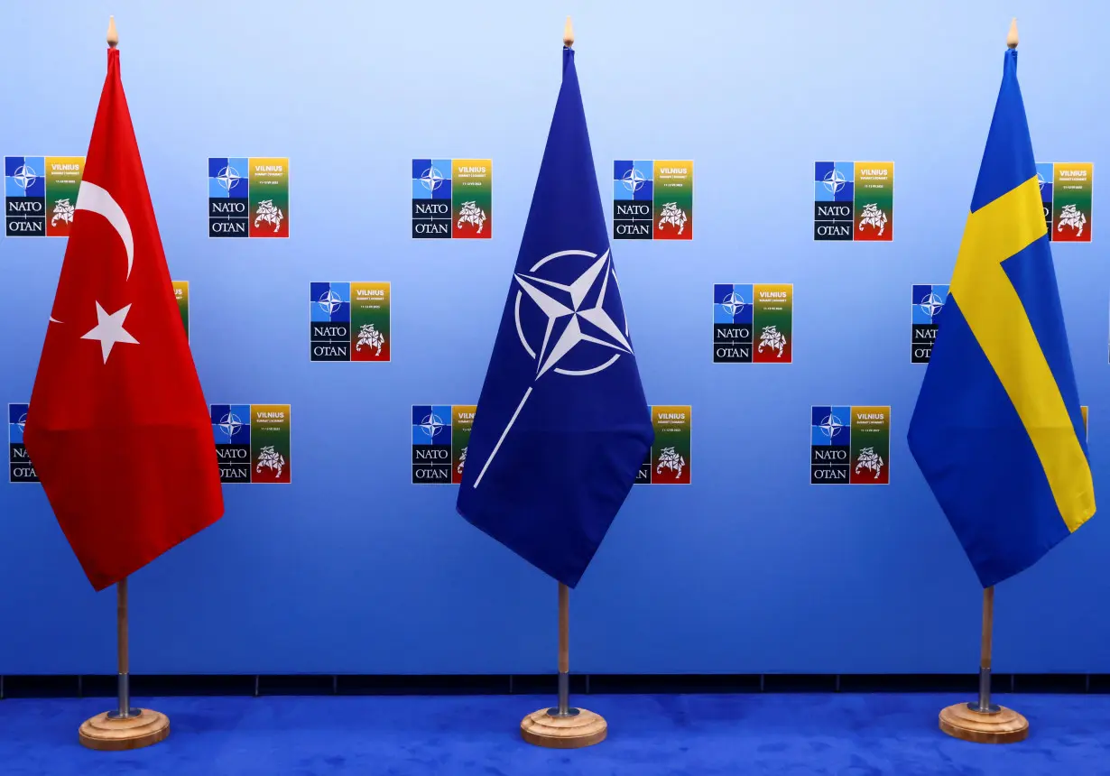 Turkish, Swedish leaders discuss membership bid ahead of NATO summit