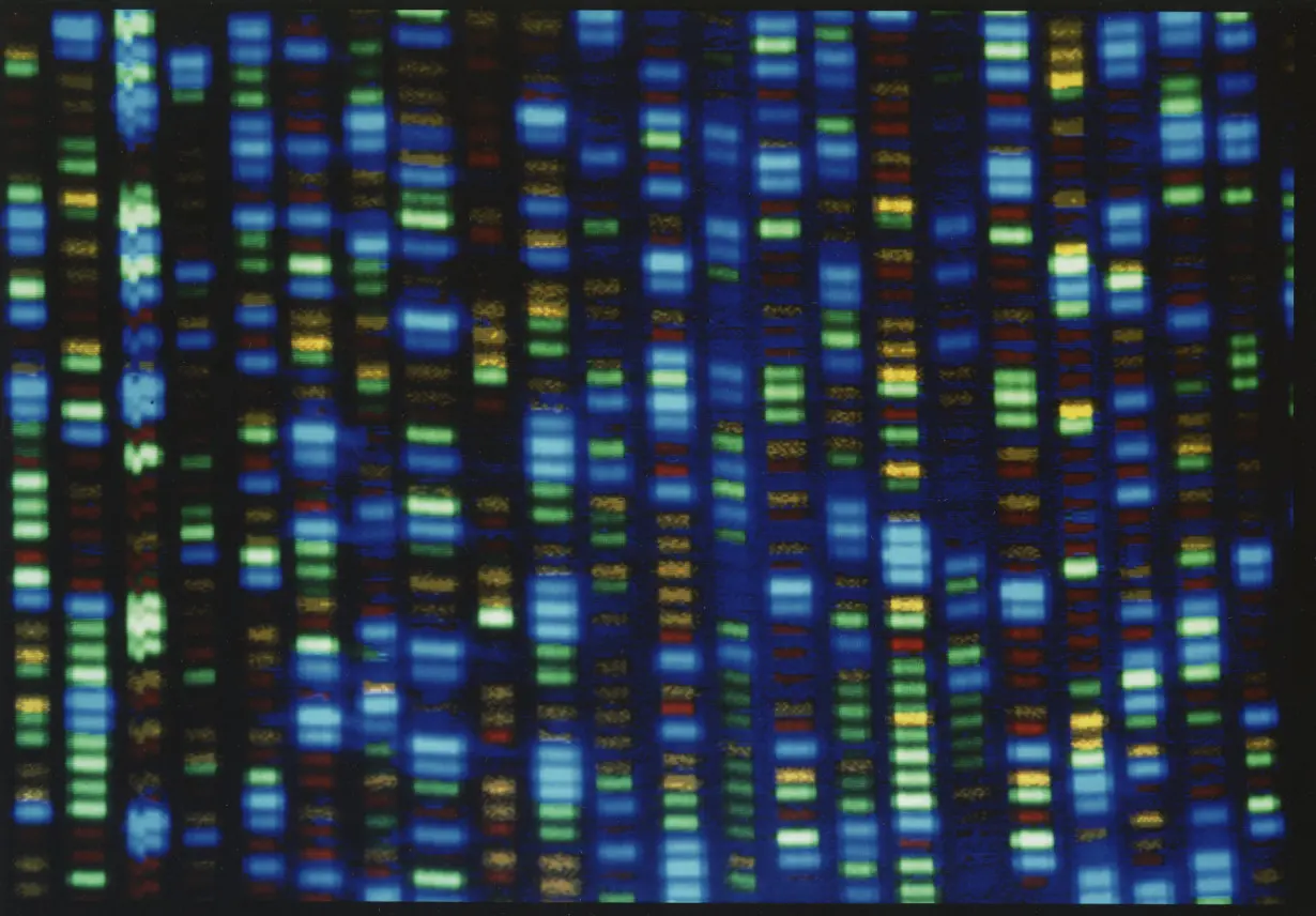 Reference Genome African Ancestry