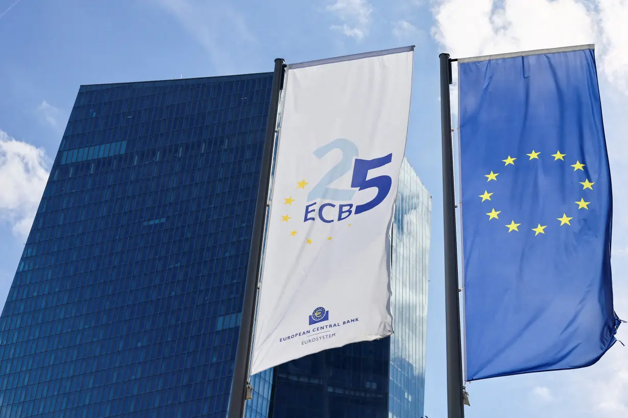 FILE PHOTO: Flags in front of the European Central Bank building in Frankfurt, Germany