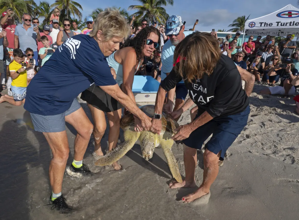 Diana Nyad marks anniversary of epic Cuba-Florida swim, freeing rehabilitated sea turtle in the Keys