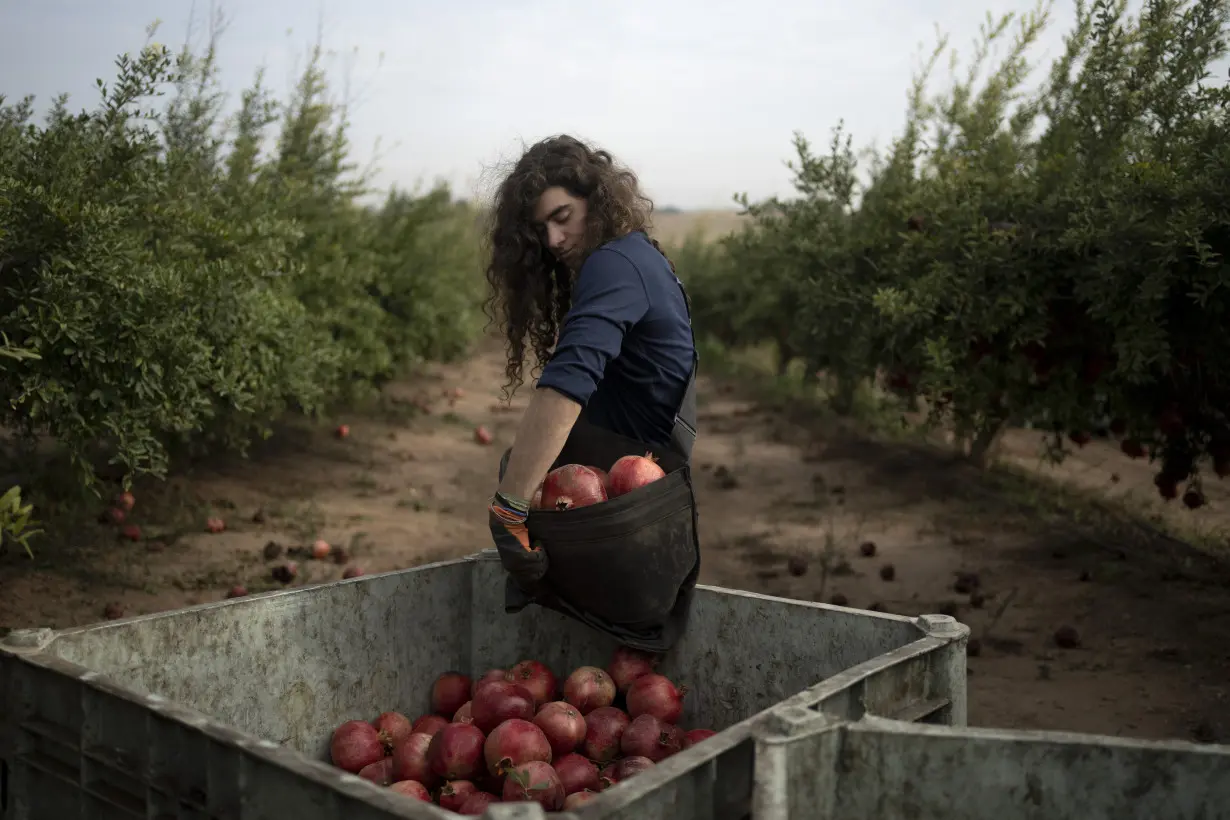 War plunged Israel’s agricultural heartlands into crisis, raising fears for its farming future