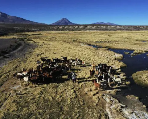 Inspired by llamas, the desert and Mother Earth, these craftswomen weave sacred textiles