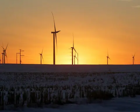 A wind farm shares space with corn fields the day before the Iowa caucuses, where agriculture and clean energy are key issues, in Latimer, Iowa