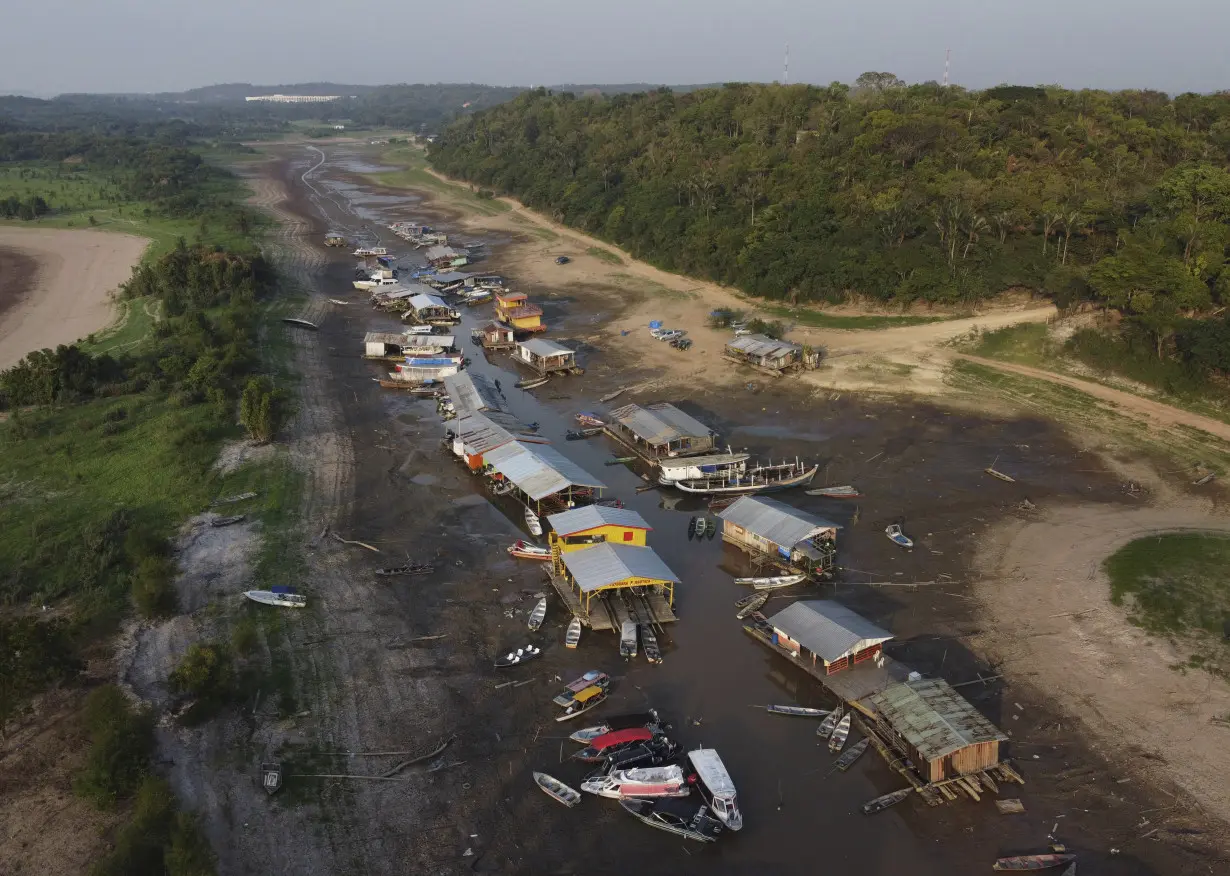 Brazil Amazon Drought