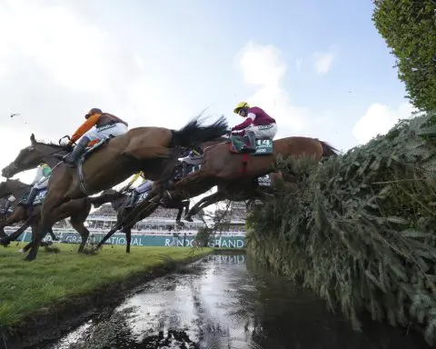 Grand National to reduce number of horses to 34 and soften fences in bid to make famous race safer