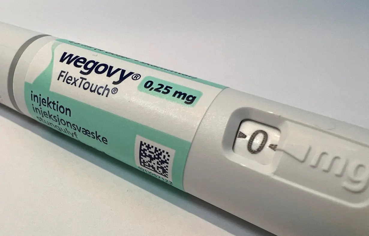 FILE PHOTO: A injection pen of Novo Nordisk's weight-loss drug Wegovy is shown in this photo illustration in Oslo