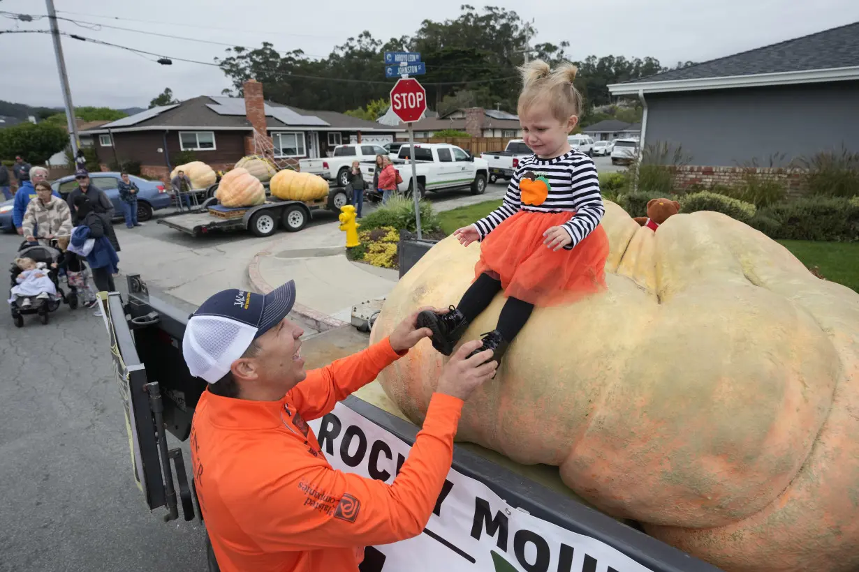 Giant Pumpkin Winner