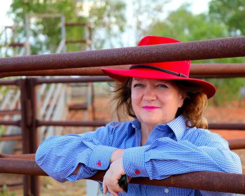 Australian billionaire Gina Rinehart accumulates 19.9% stake in Albemarle target Liontown