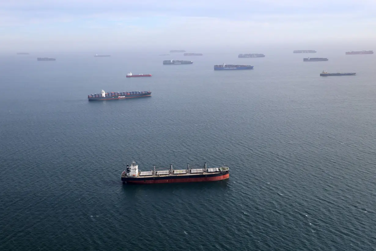 FILE PHOTO: Container ships and oil tankers wait in the ocean outside the Port of Long Beach-Port of Los Angeles complex