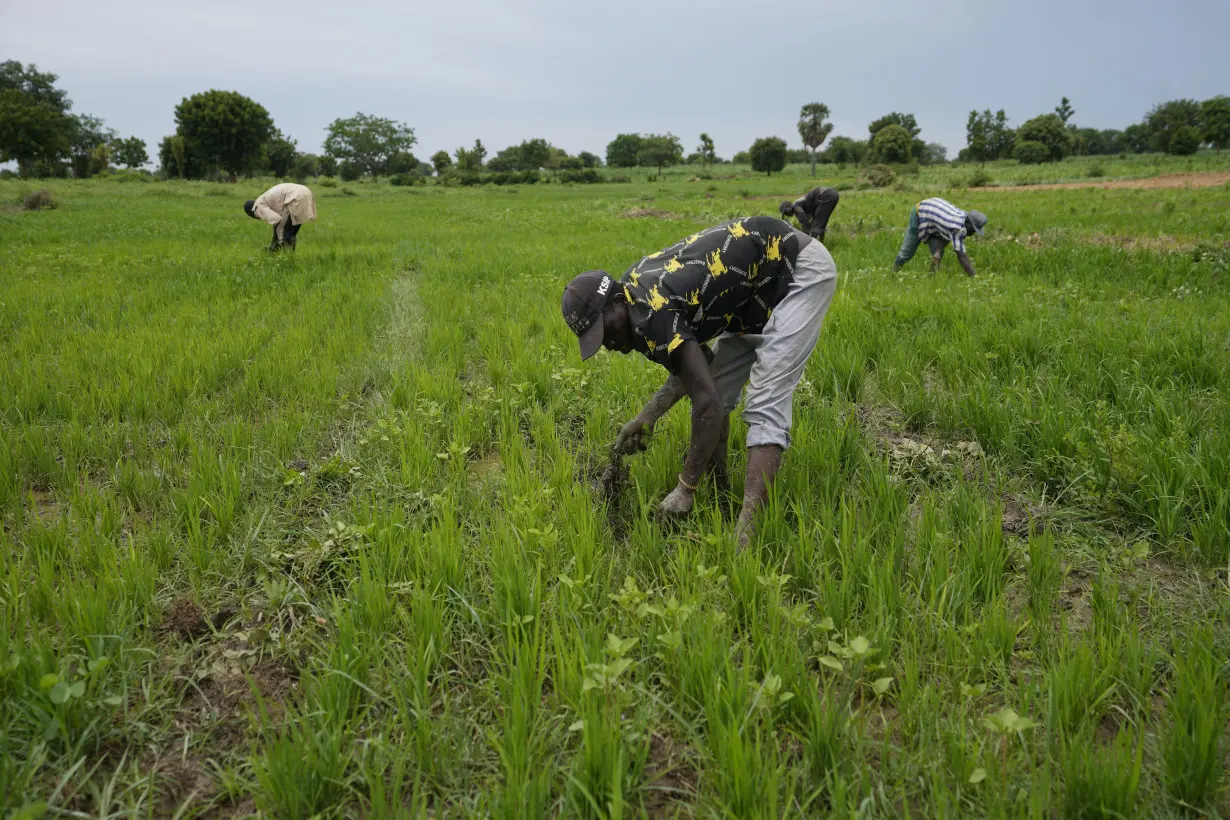 IMF and World Bank are urged to boost funding for African nations facing conflict and climate change