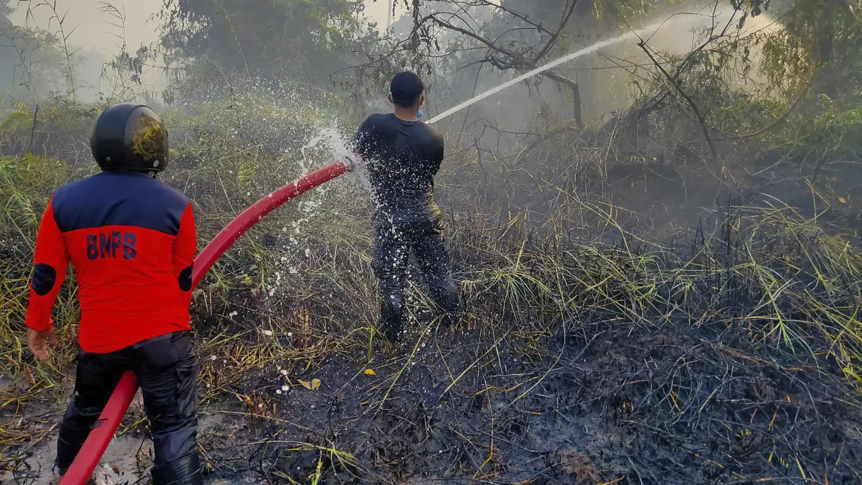 Indonesia Fires