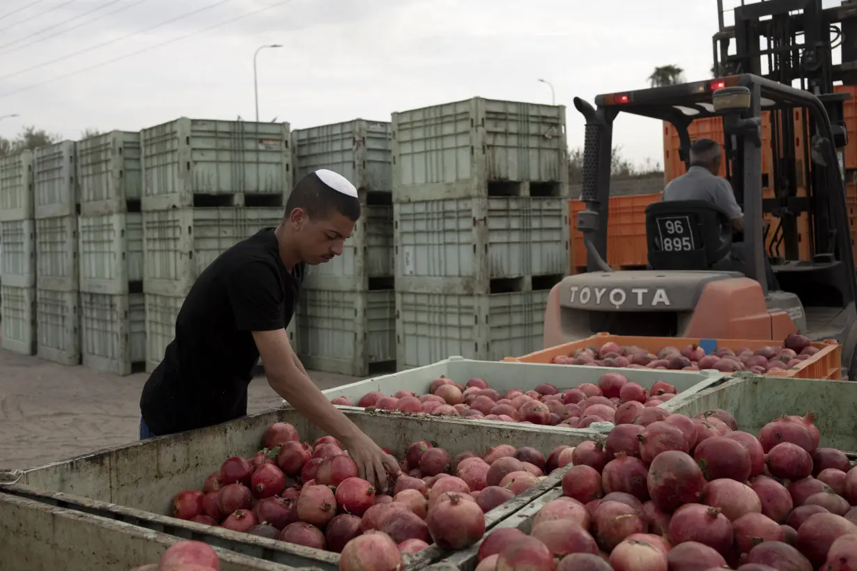 War plunged Israel’s agricultural heartlands into crisis, raising fears for its farming future