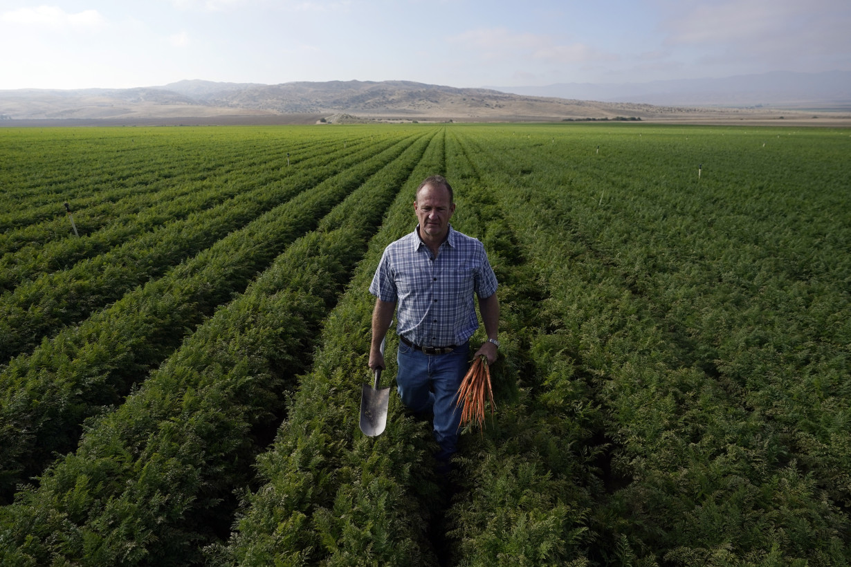 California Carrot Boycott