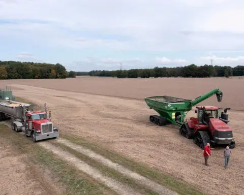 Louis Dreyfus to build Ohio soy crush plant, add to processing boom