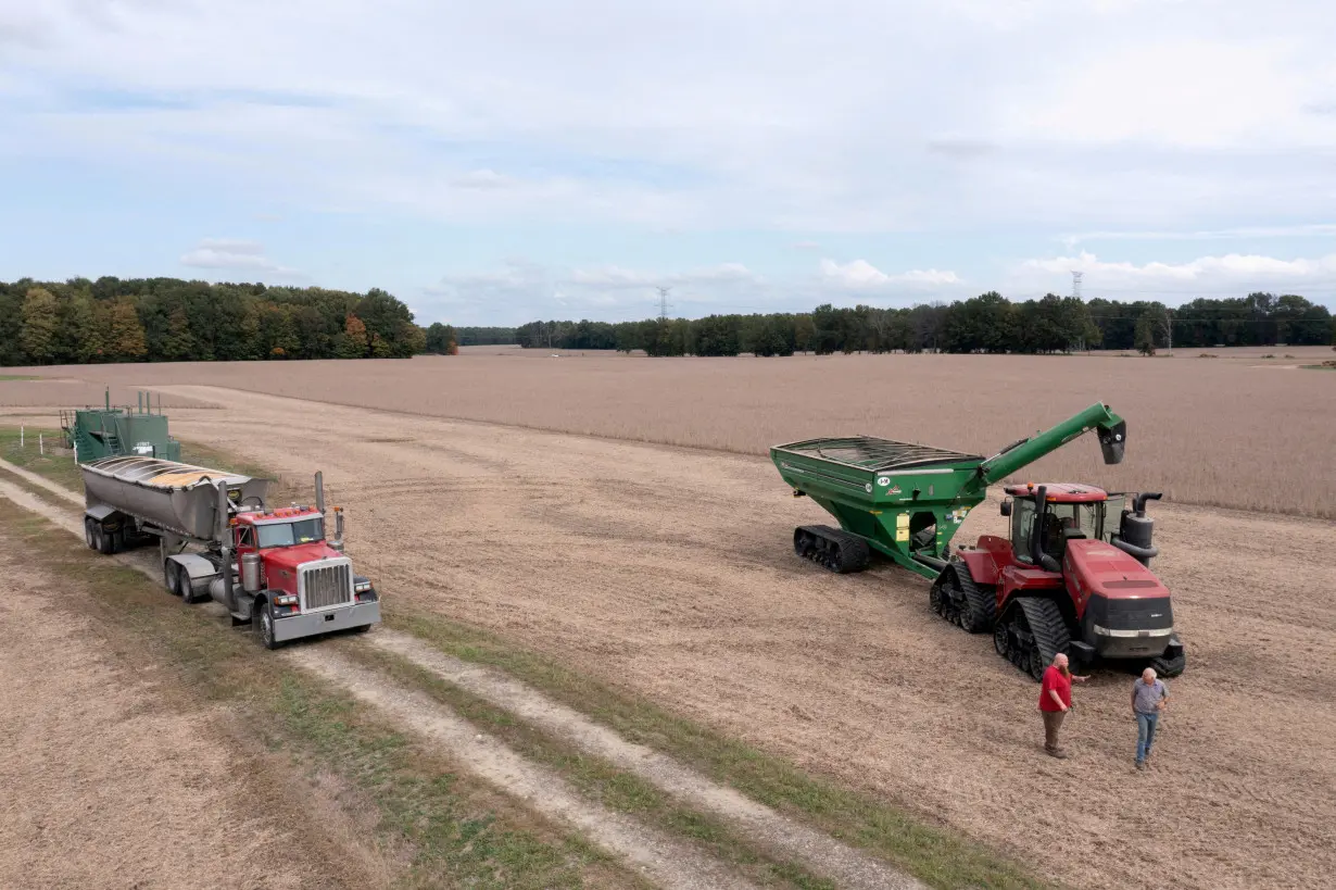 FILE PHOTO: Soybean and corn harvest season in central Ohio.