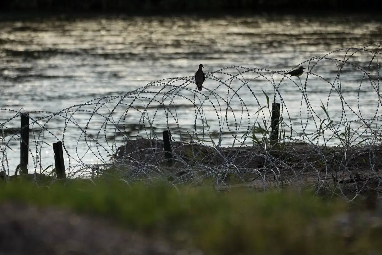 Immigration Razor Wire