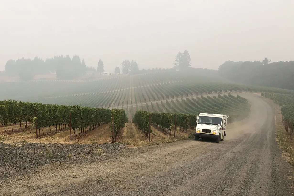 Inside scientists' mission to save America’s wine industry from climate change