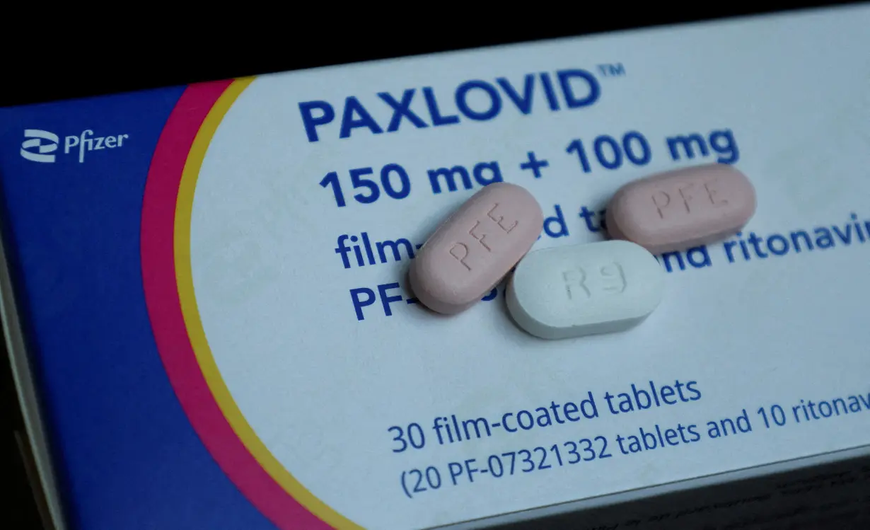 FILE PHOTO: Paxlovid is shown in this picture illustration