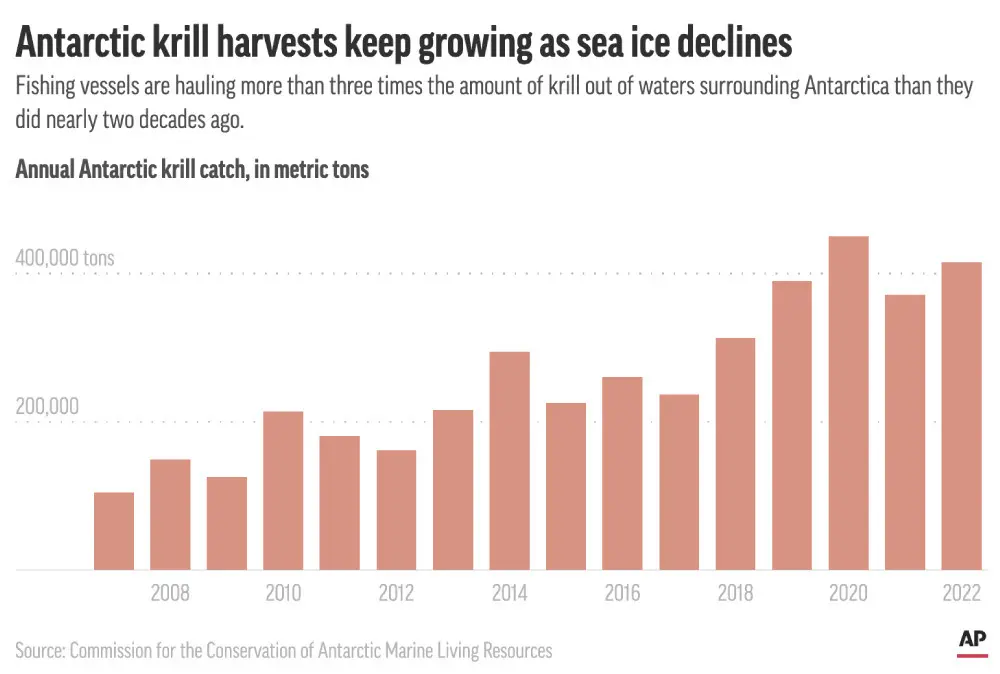 Embed-Chart-Krill-Catch