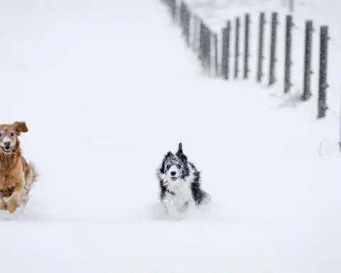 First major snowstorm of the season hitting the northern Rockies after a warm fall