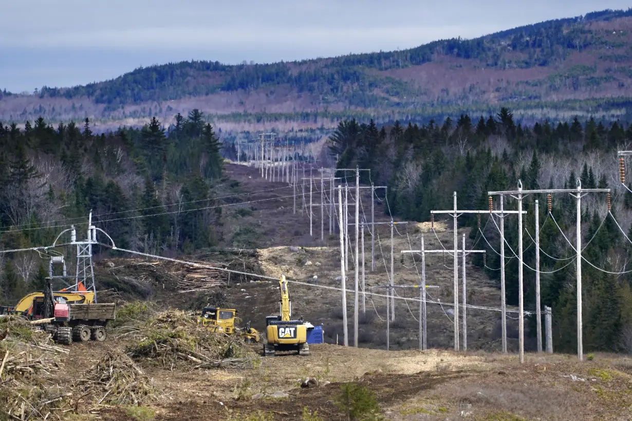 EU Electricity Grids Climate Change