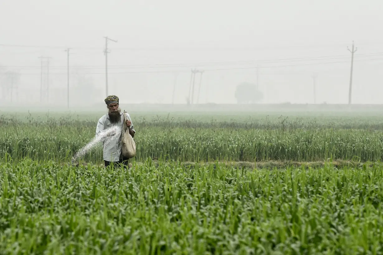 The Green Revolution is a warning, not a blueprint for feeding a hungry planet