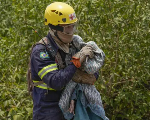 Fires in Brazil threaten jaguars, houses and plants in the world's largest tropical wetlands