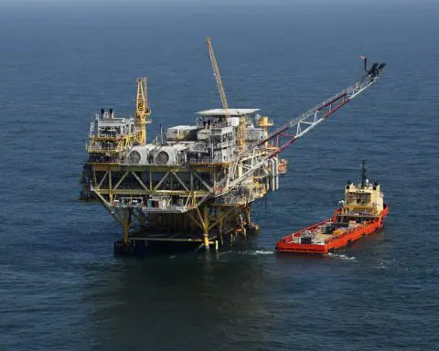 Lease of Gulf waters delayed by whale protection debate must continue, court rules