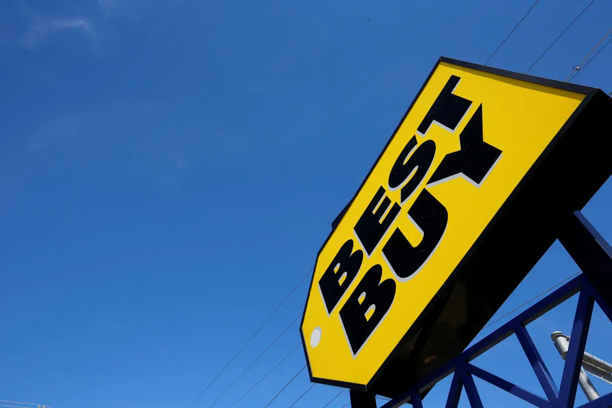 FILE PHOTO: A Best Buy store is seen in Niles, Illinois near Chicago