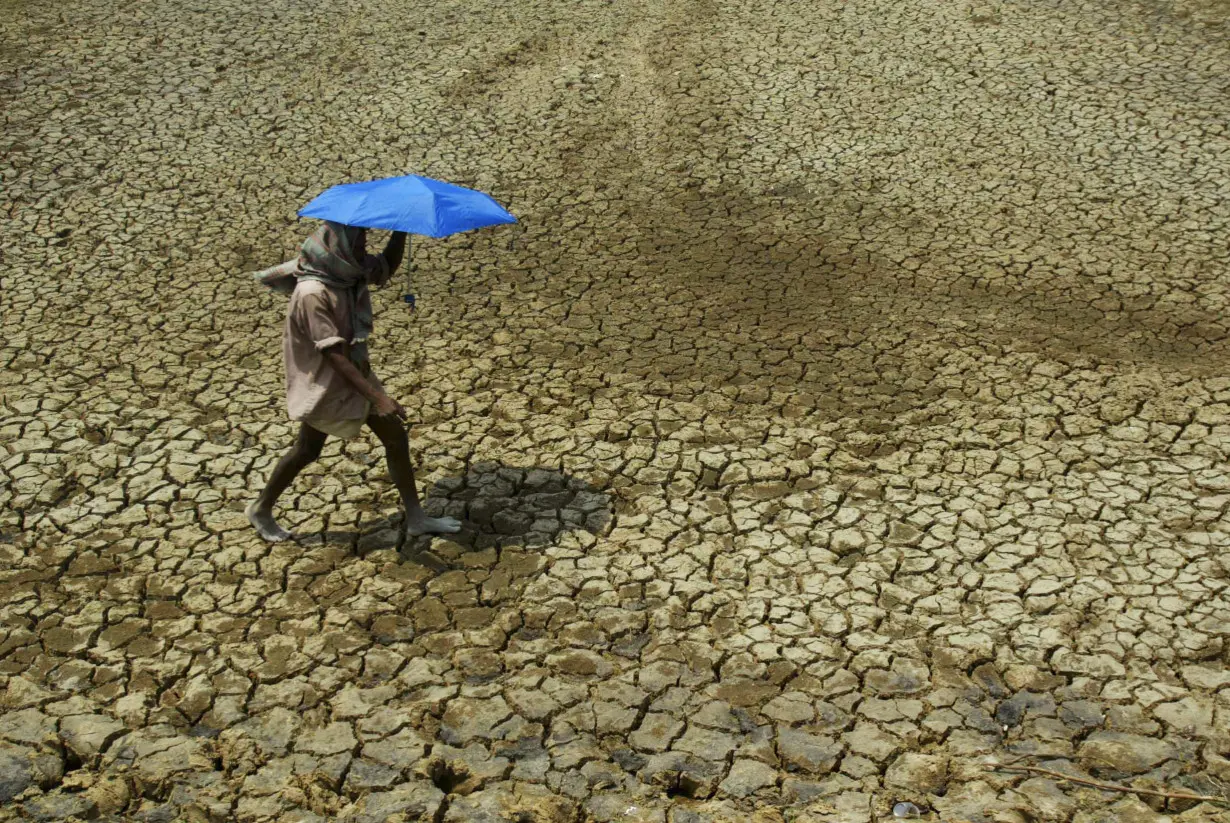 Climate Loss and Damages COP28