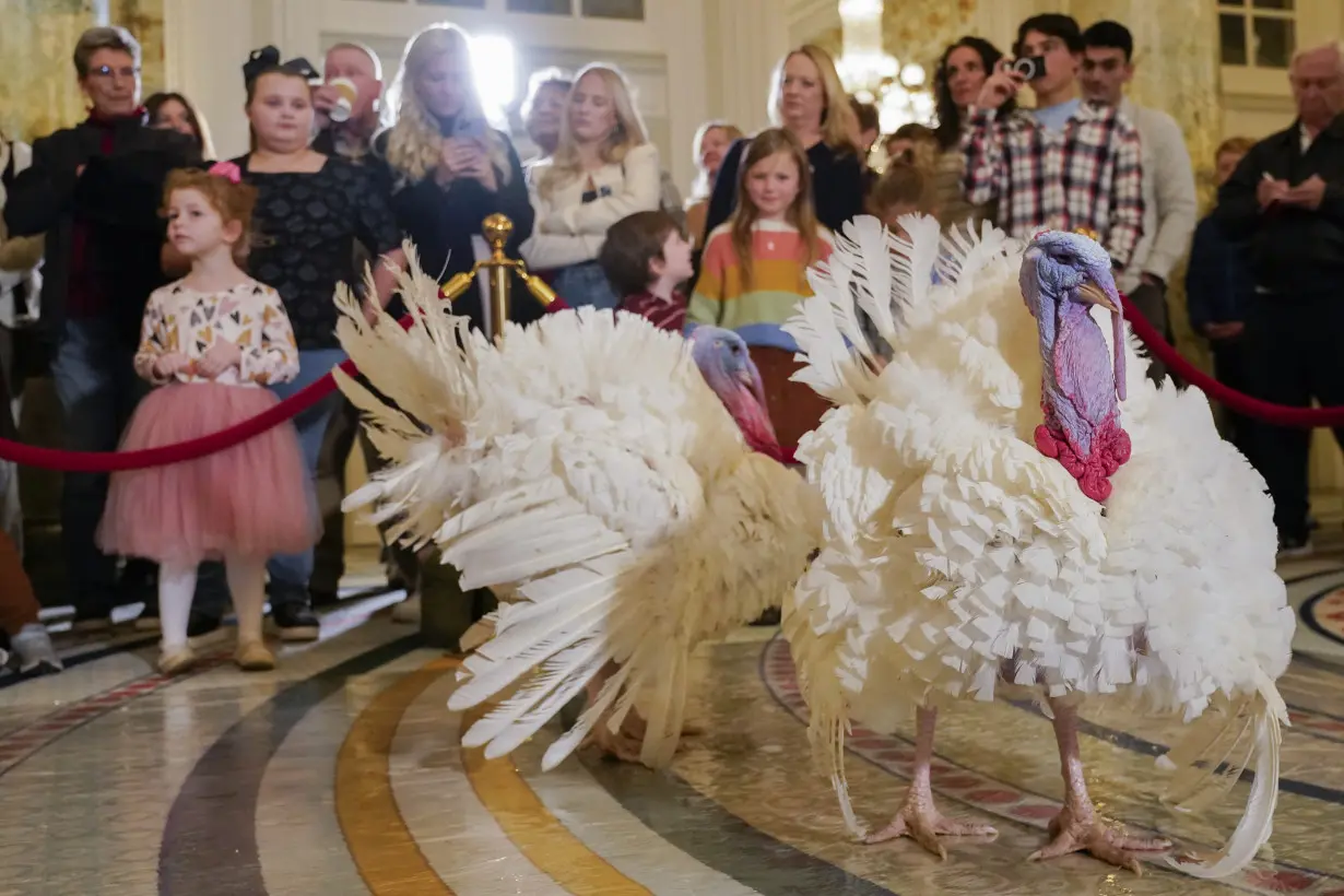 Biden Turkey Pardon