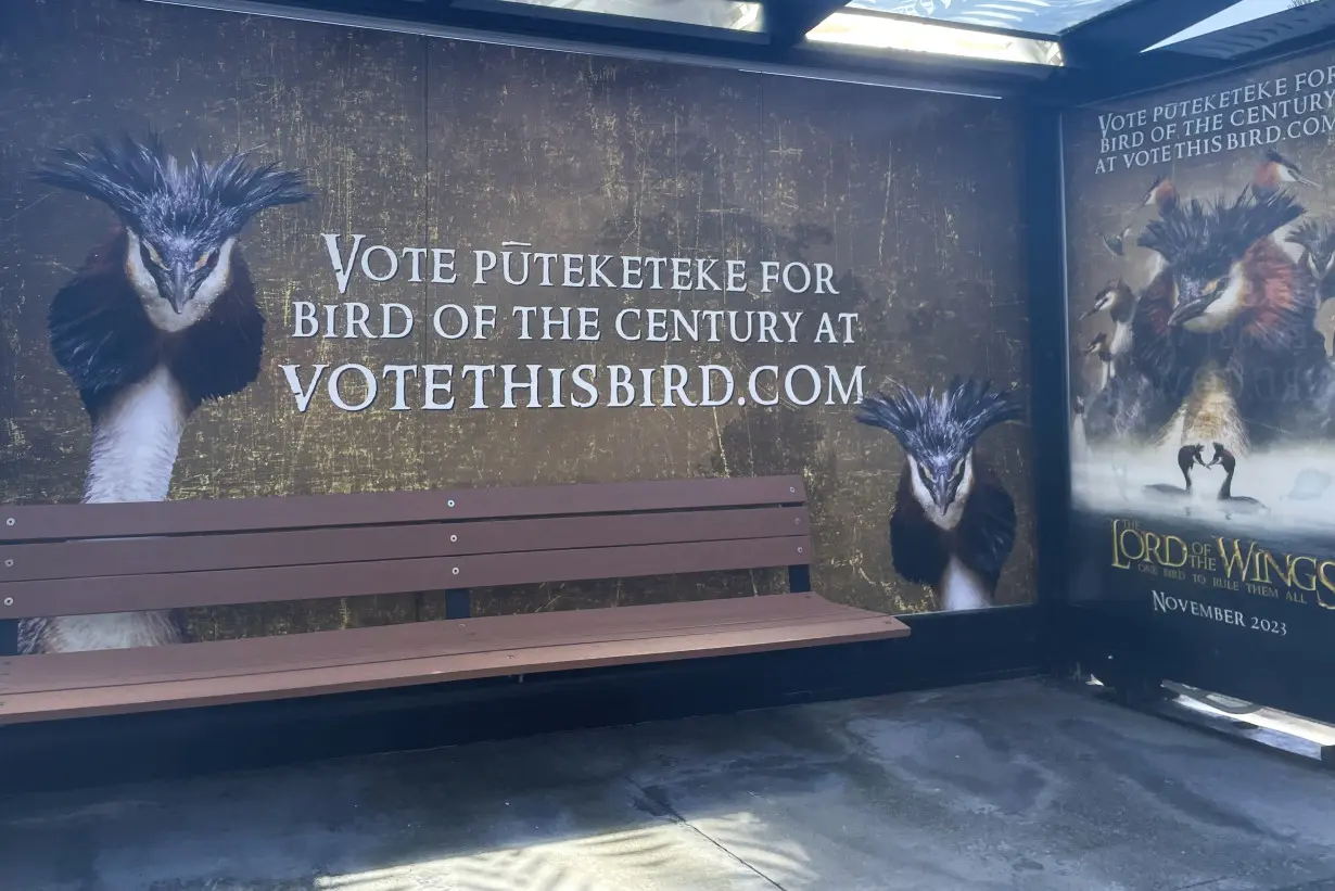 New Zealand Bird Election