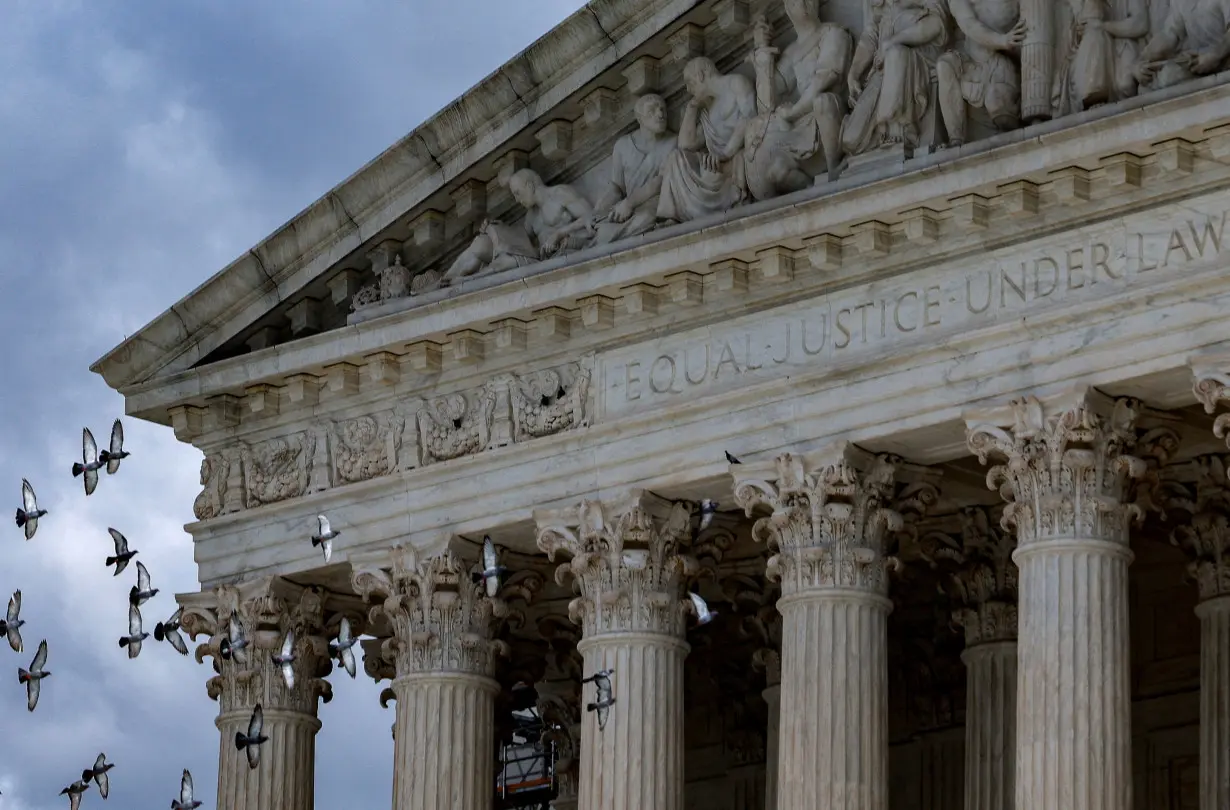 FILE PHOTO: Birds fly past the United States Supreme Court in Washington