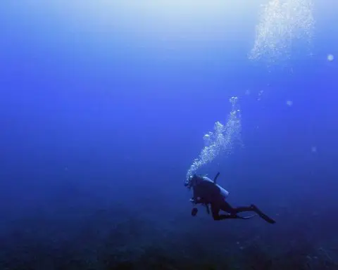 Climate change is hurting coral worldwide. But these reefs off the Texas coast are thriving