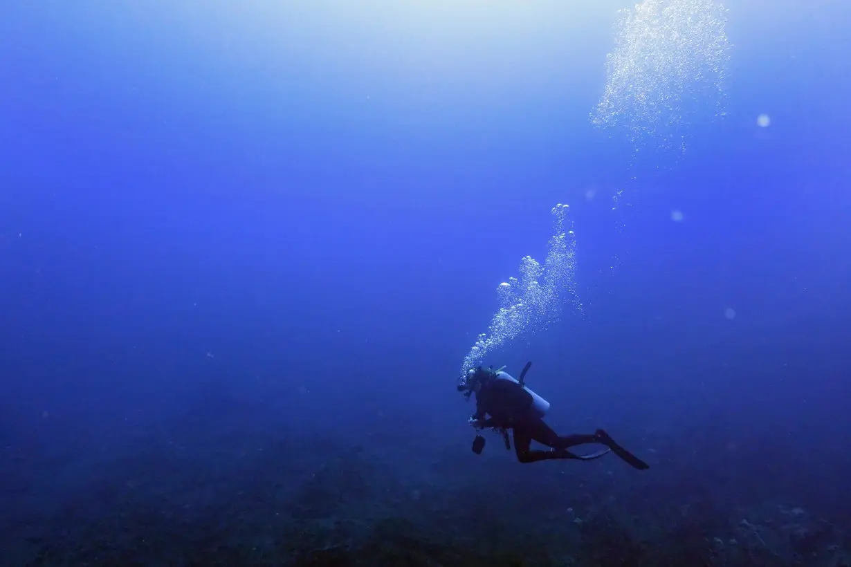 APTOPIX Climate Texas Coral Reefs