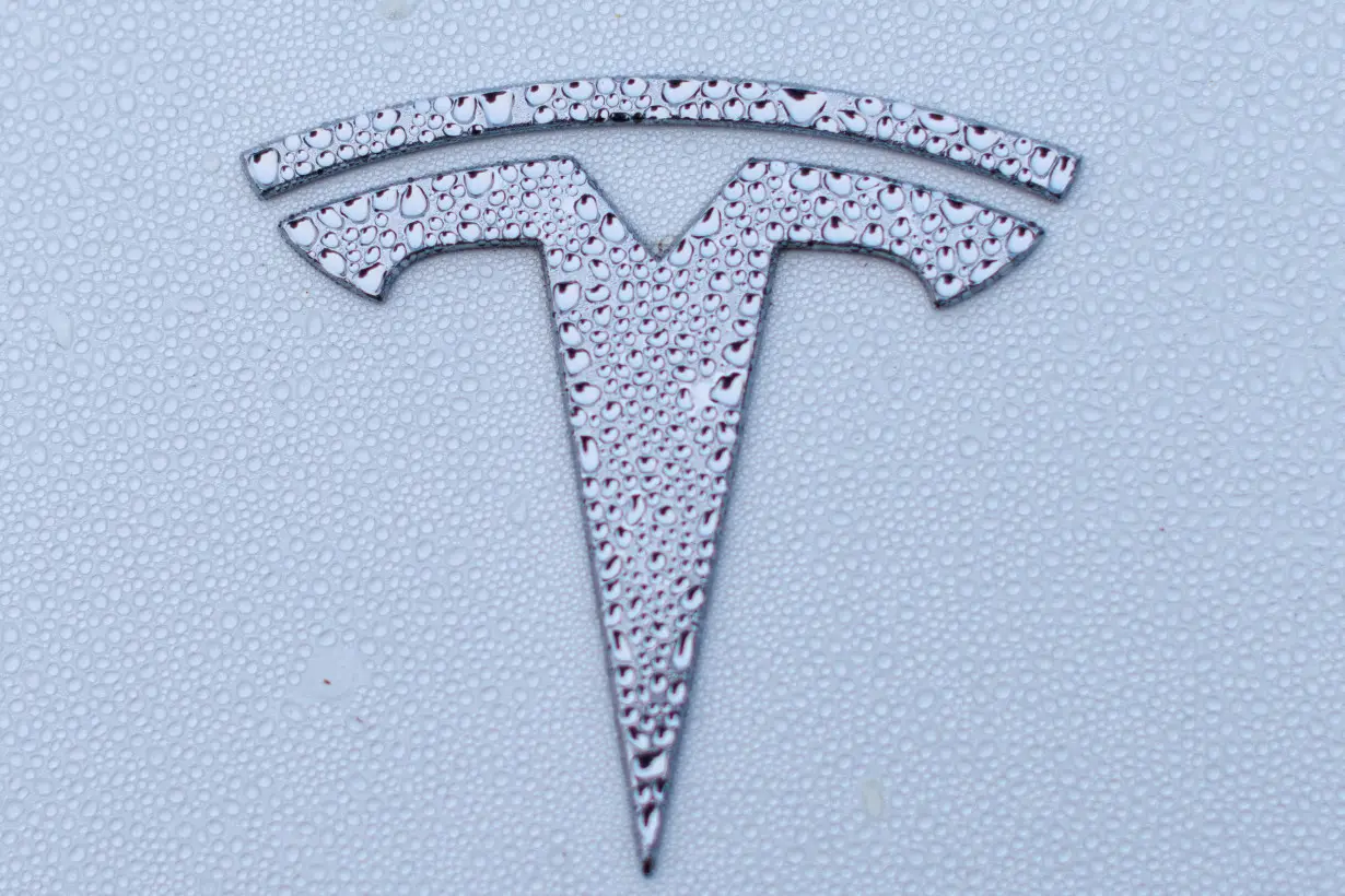 FILE PHOTO: Tesla logo shown on Model Y vehicle in California