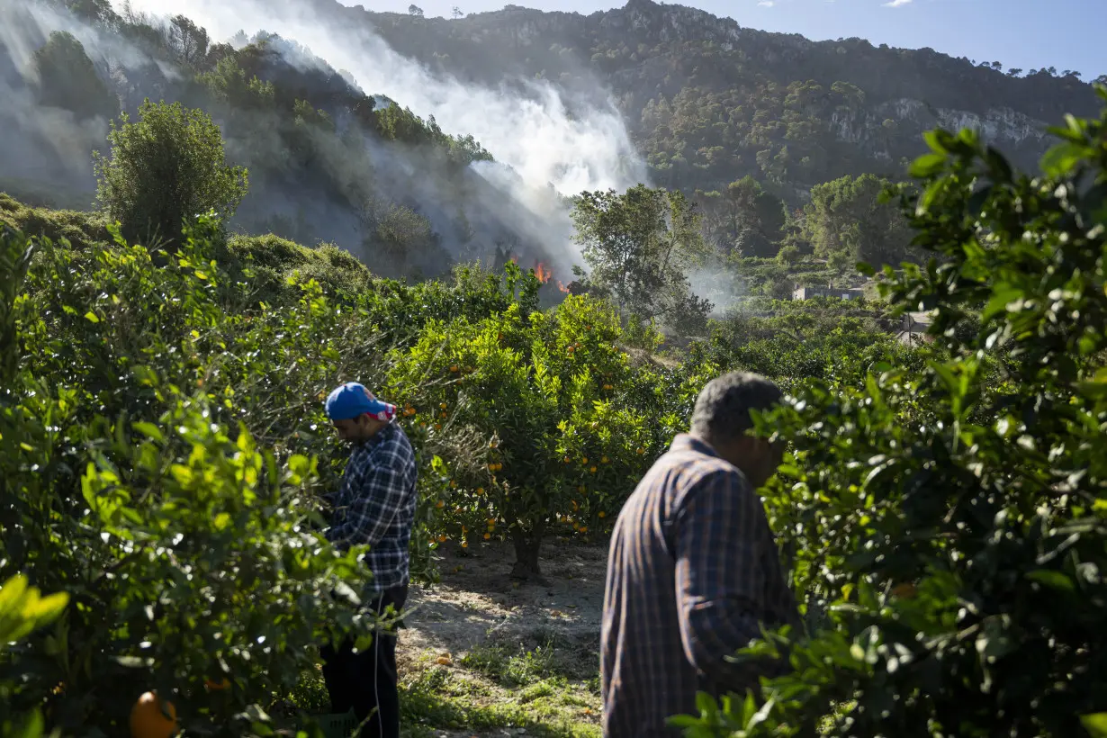 Spain Wildfire