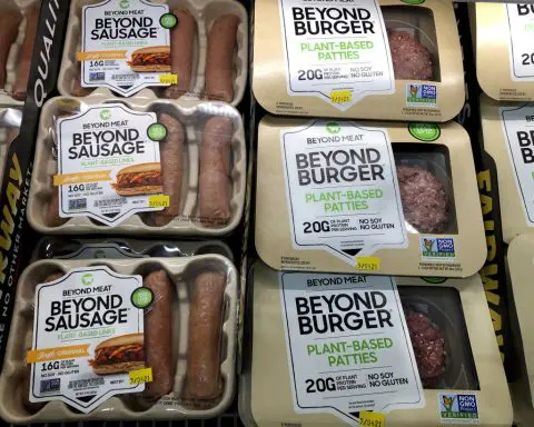 Beyond Meat revenue falls as rising demand in Europe can't overcome plummeting US sales