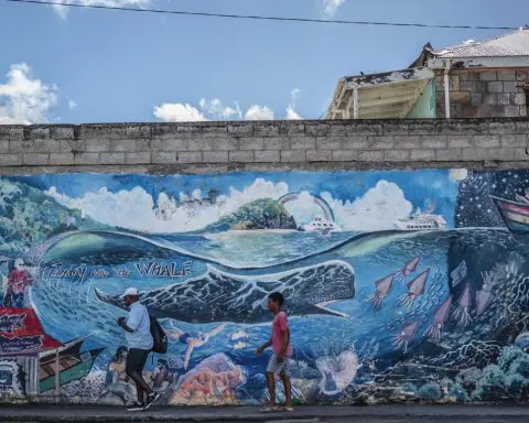 Endangered sperm whales now have their first protected area in the Caribbean island of Dominica