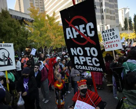 APEC San Francisco protesters span gamut of political issues