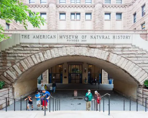 Museum of Natural History to Remove All Human Remains From Public View